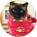 Luis Montero profile picture